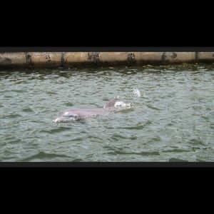 Meet your Posher, Zaye